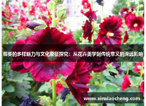 蜀葵的多样魅力与文化象征探究：从花卉美学到传统意义的深远影响