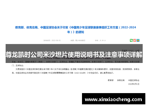 尊龙凯时公司米沙坦片使用说明书及注意事项详解