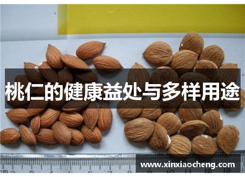 桃仁的健康益处与多样用途