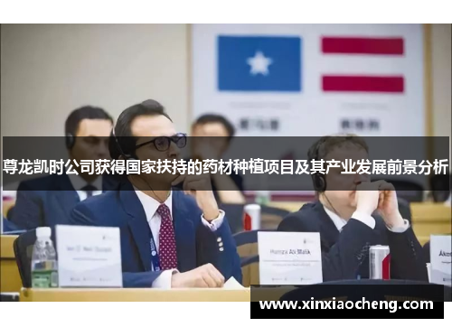 尊龙凯时公司获得国家扶持的药材种植项目及其产业发展前景分析