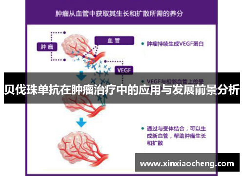 贝伐珠单抗在肿瘤治疗中的应用与发展前景分析